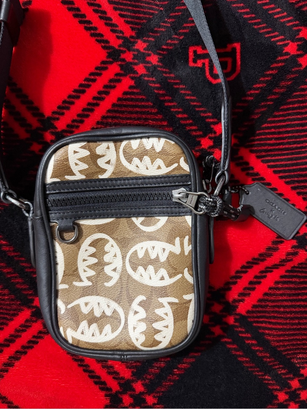 Coach x Guang Yu Mini Crossbody Bag | Signature Canvas Graphic Print - Picture 6 of 8